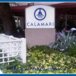 Calamari Restaurant in Coconut Grove